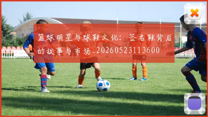 篮球明星与球鞋文化：签名鞋背后的故事与市场_20260523113600