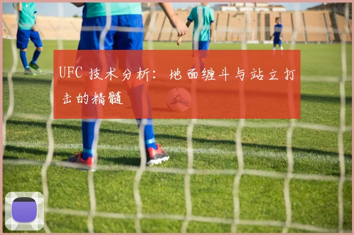 UFC 技术分析:地面缠斗与站立打击的精髓