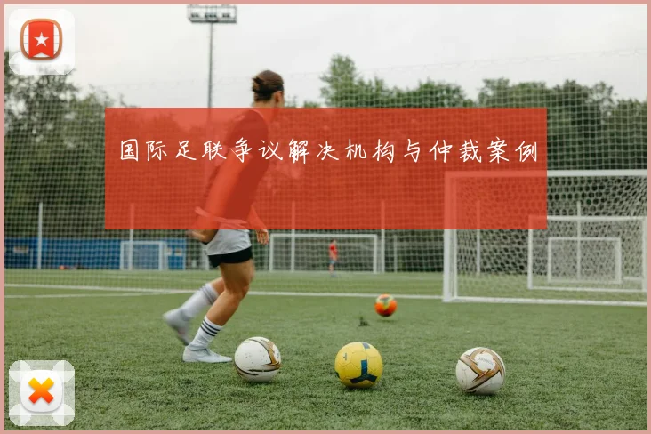 国际足联争议解决机构与仲裁案例