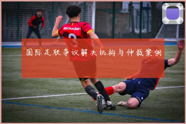 国际足联争议解决机构与仲裁案例