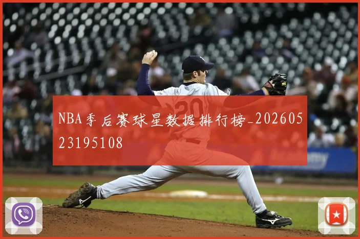 NBA季后赛球星数据排行榜_20260523195108