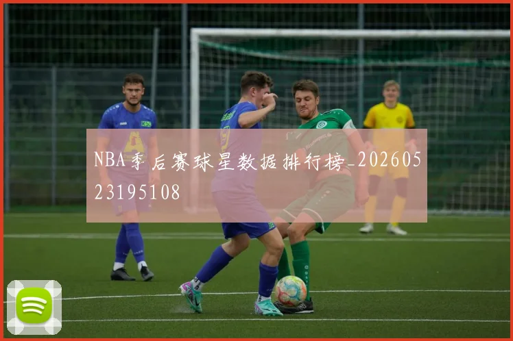 NBA季后赛球星数据排行榜_20260523195108